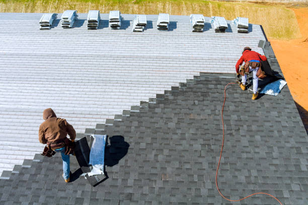 Roof Coating Services in Forest Park, IL