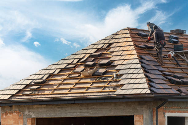 Best Green or Eco-Friendly Roofing Solutions  in Forest Park, IL